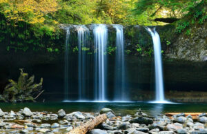 Feng Shui Grundlagen (Modul1)