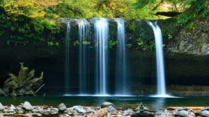 WAS ist Feng Shui und WIE funktioniert es wirklich?