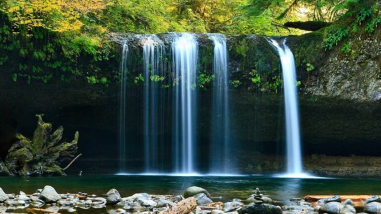 WAS ist Feng Shui und WIE funktioniert es wirklich?