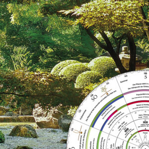 Fernstudium Feng Shui 1