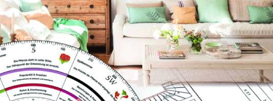 feng-shui-basis-ausbildung