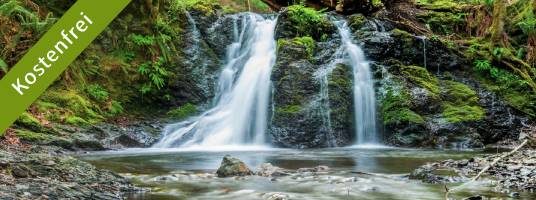 webinar-was-ist-feng-shui